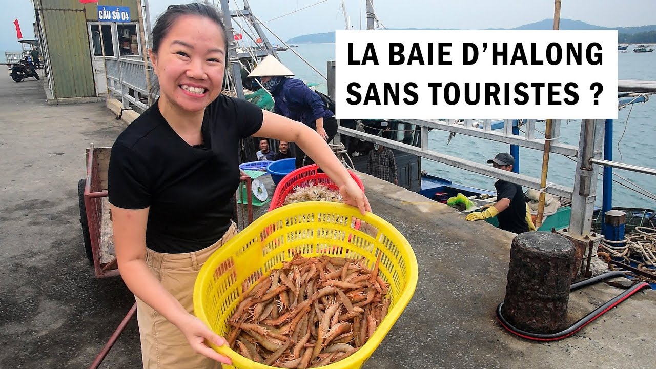 La baie d'HALONG SANS TOURISTES : L'île de 🏝️ CO TO 🏝️