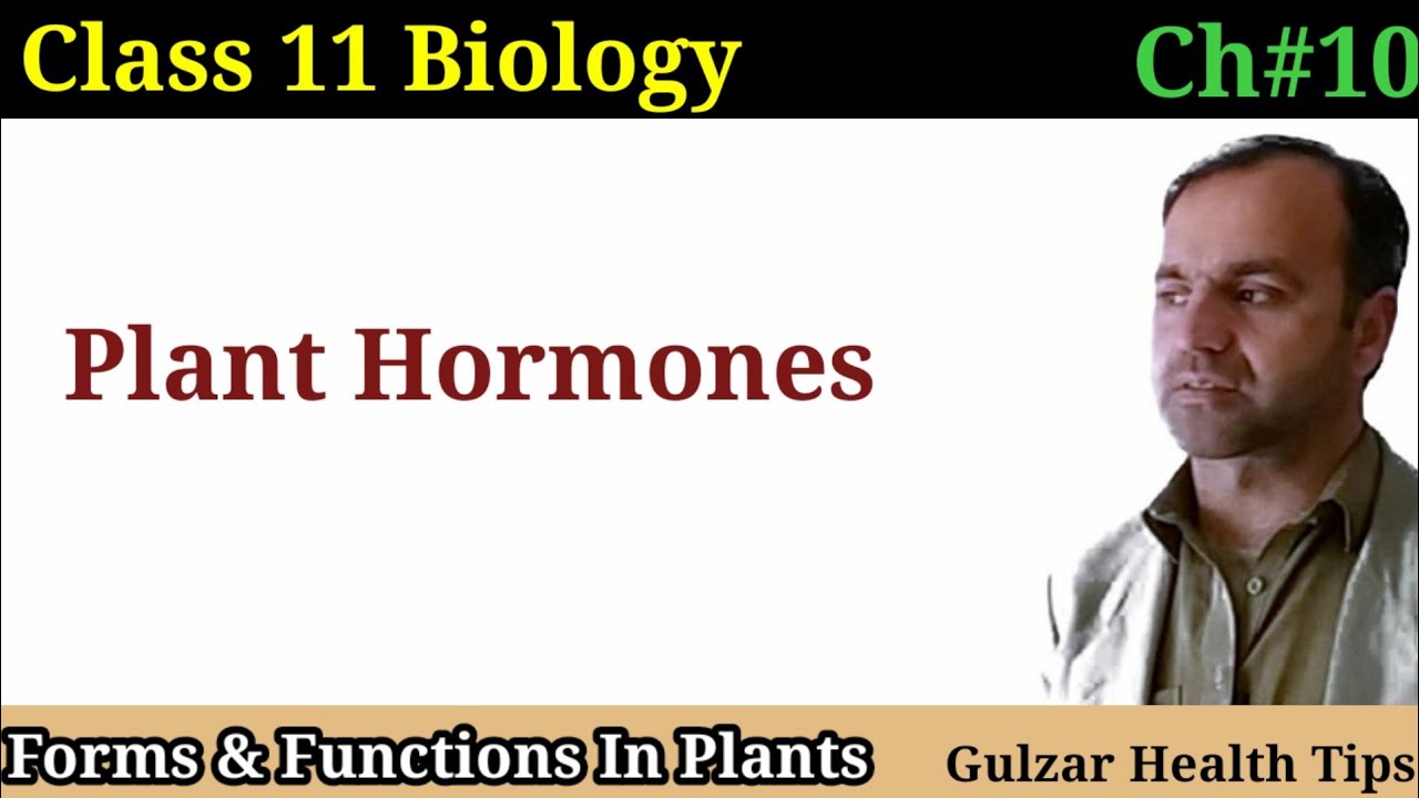 Plant Hormone | Phyto hormones | Growth Hormones | forms and function in plants | Class 11th Biology