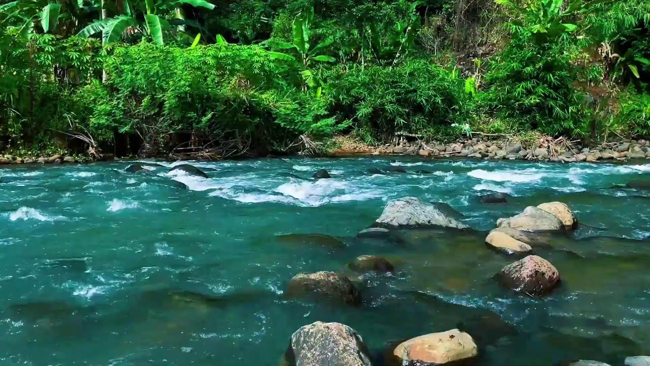 Nature Ambience: Blue River & Green Jungle for Calm and Stress Relief