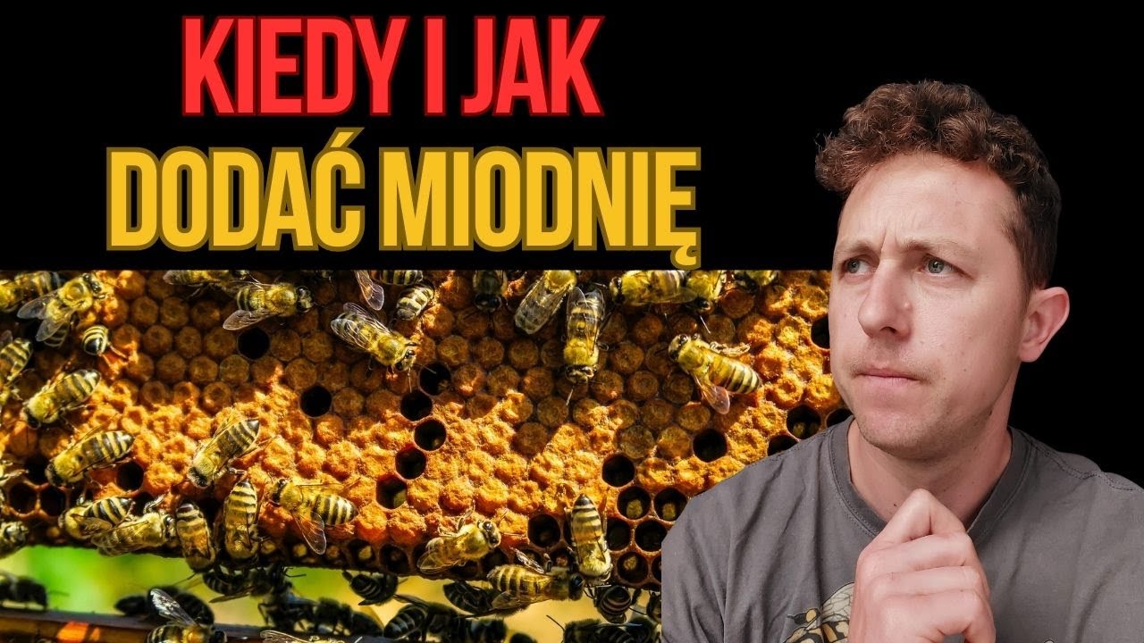 Kiedy i jak dodać DRUGĄ miodnię? Przykładowe sytuacje.
