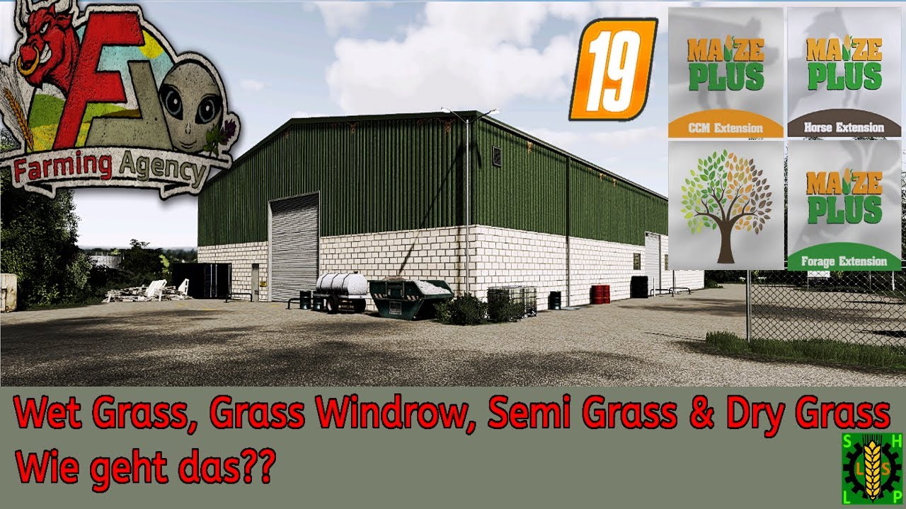 Forage Extension | Heu & Silage - Wet Grass, Grass Windrow, Semi Grass & Dray Grass | LS19