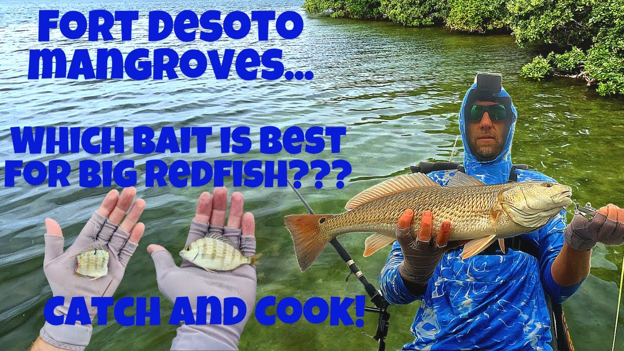 Kayak Fishing for Big Redfish at Fort Desoto with a Catch and Cook!