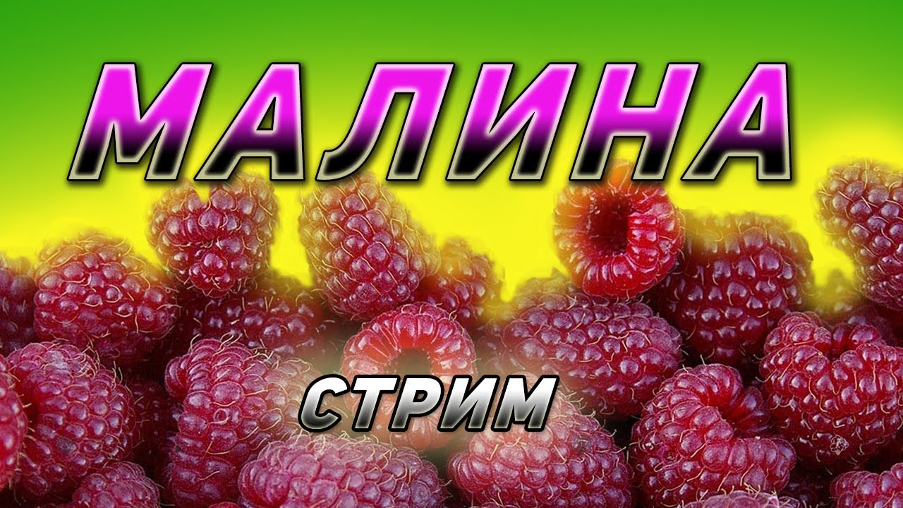 Малина. Выращиваем для реализации