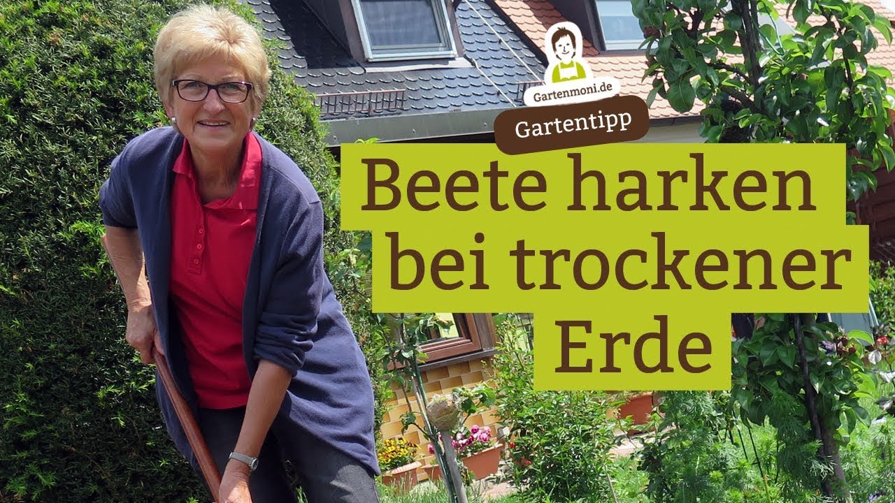 Beete harken bei trockener Erde - Erde auflockern nach Regen