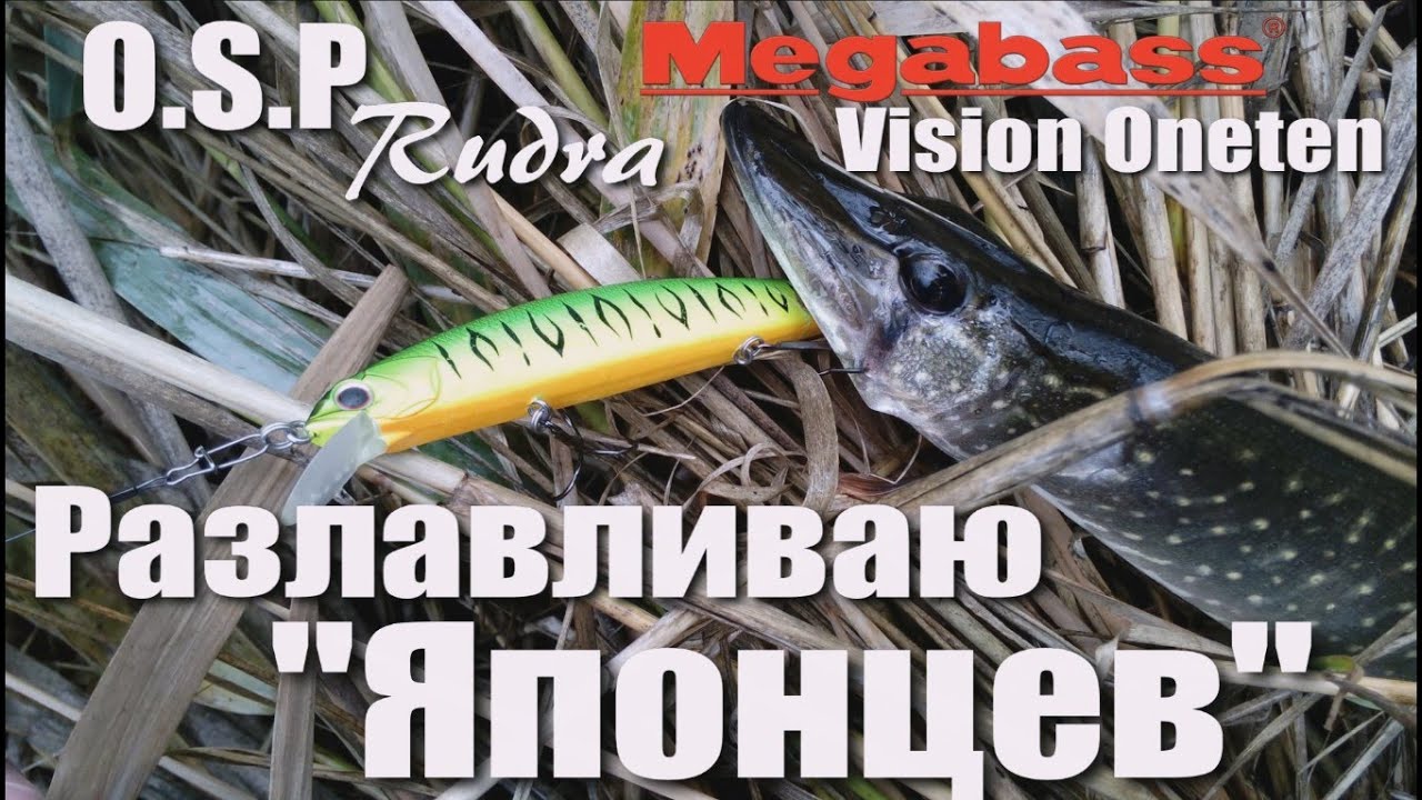 Ловля щуки на воблеры. Твичинг. O.S.P Rudra / Megabass Vision Oneten