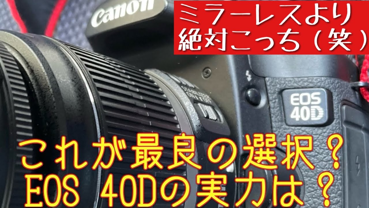 【デジタル一眼レフ】ミラーレスより良好画質😳 古のデジイチ、EOS40Dとは？ #デジタル一眼レフ #APSC #オールドデジイチ