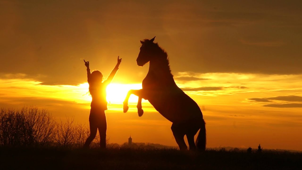 Forever until tomorrow.