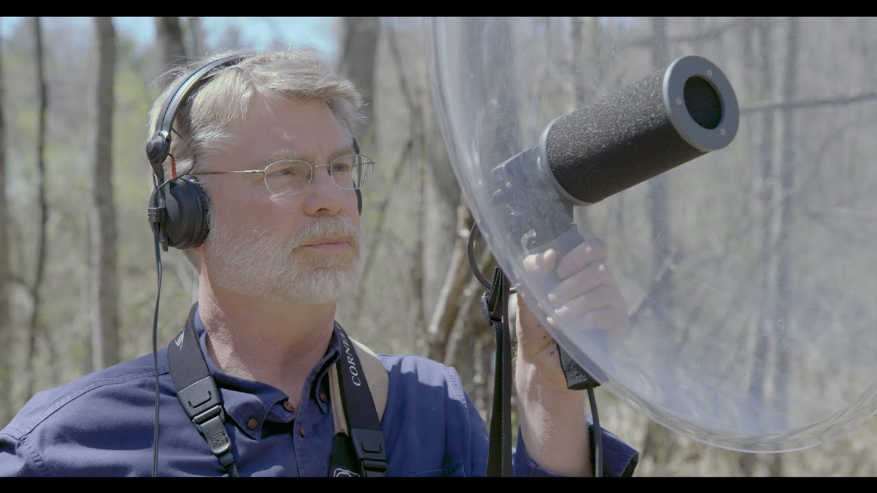 How To Record Audio  - The Basics