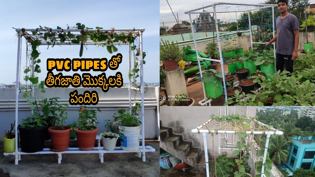 Pvc pipes తో తీగజాతి మొక్కలకి తక్కువ ధరకే స్టాండ్స్ మరియు పందిరిని వేసుకుందాం