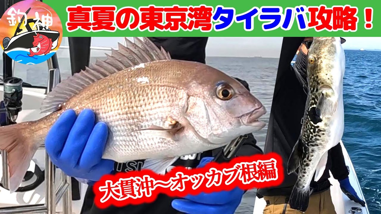 【東京湾】マイボートで真夏の東京湾でタイラバして来ました！