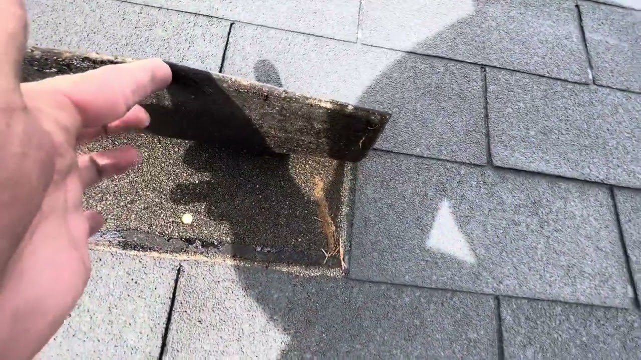 Maryland companies painting shingles is this a good idea ?