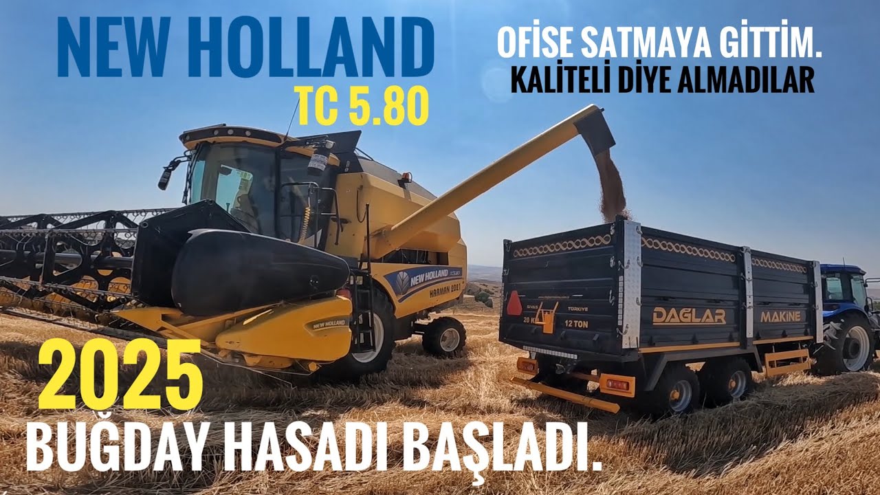 BUĞDAY HASADINA BAŞLADIK. SELENIVKA ODESKA CİNSİ BUĞDAYLARIMIZI BİÇİYORUZ.