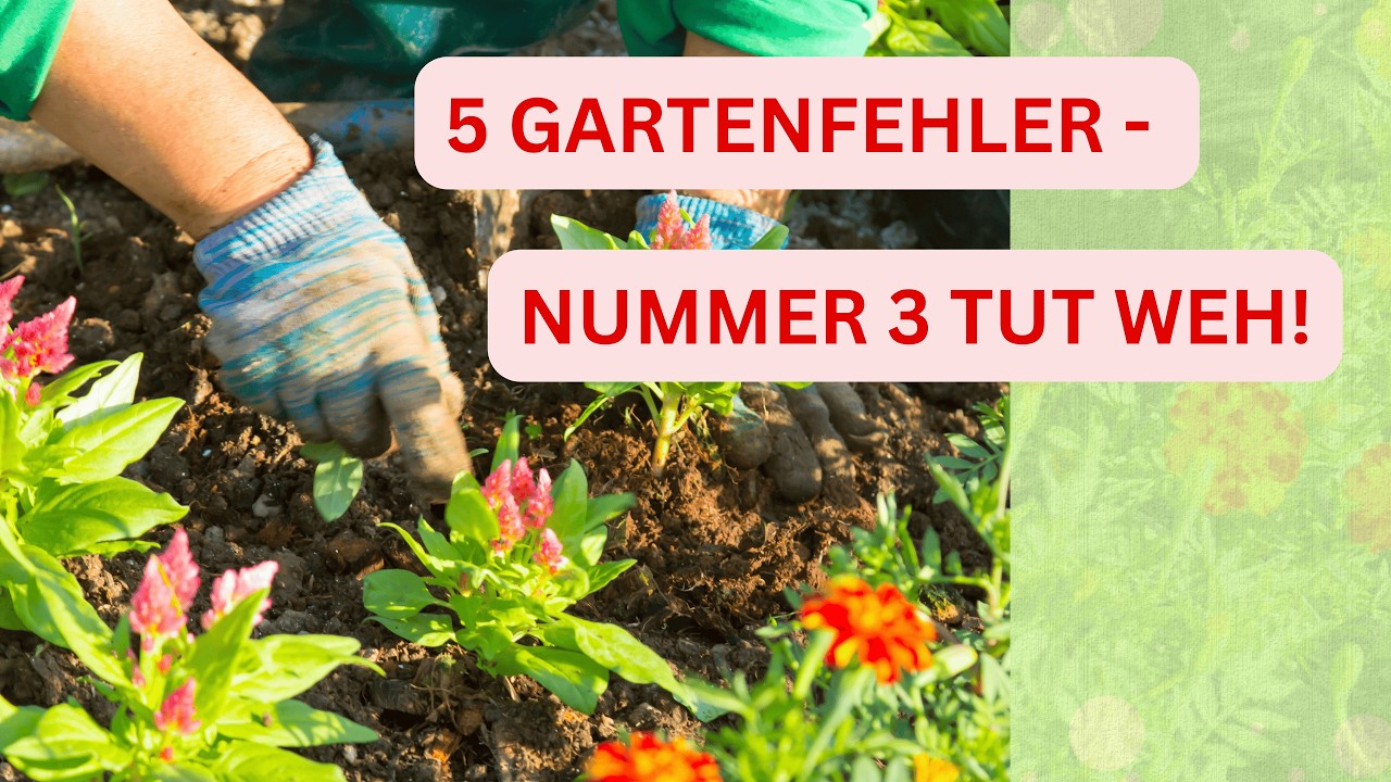 Diese 5 Gartenfehler ruinieren mehr, als du denkst