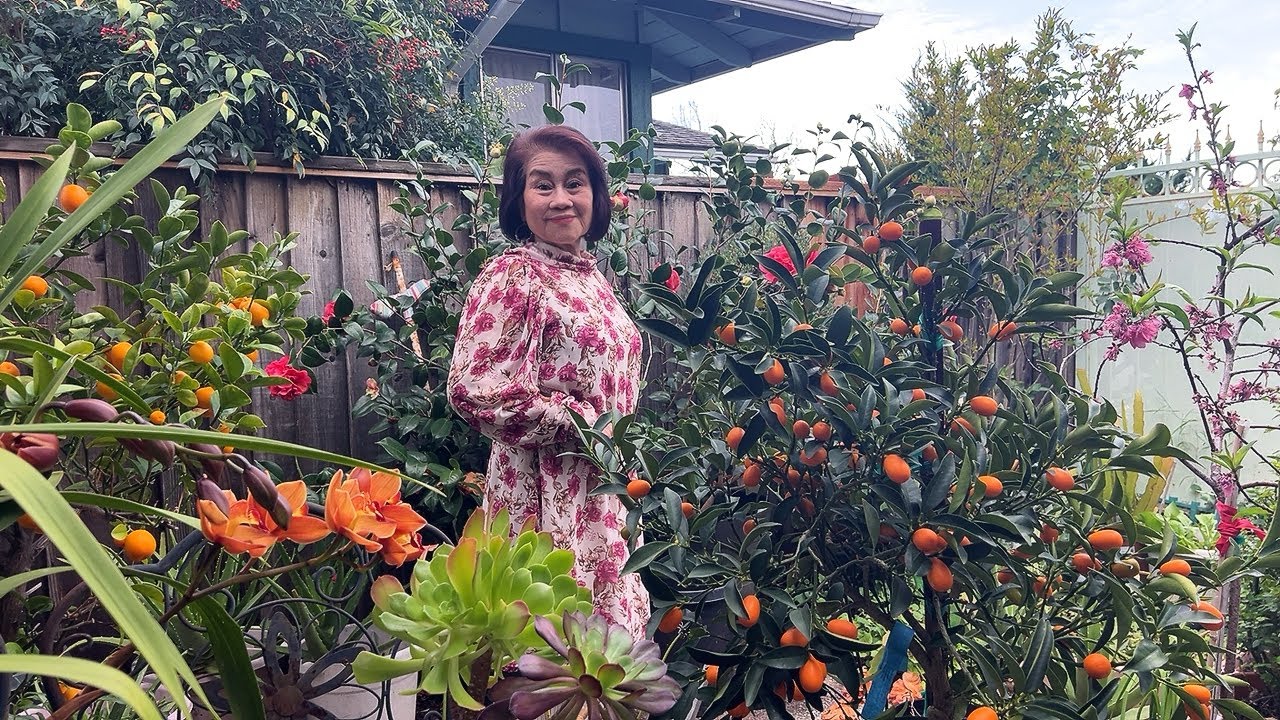 Thu Sầu, Sáng tác: Lam Phương | Trình bày: Phương Tịnh