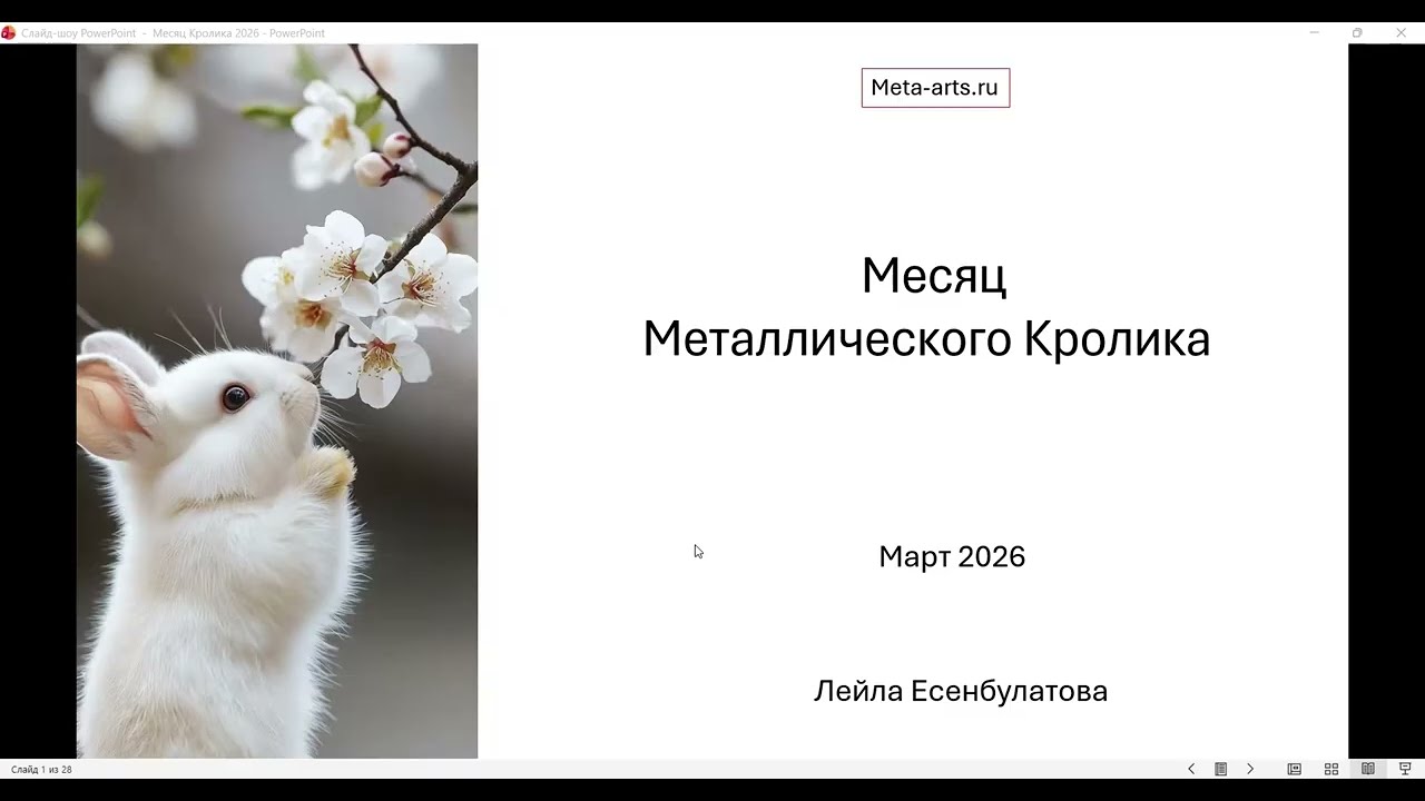 Месяц Кролика 2026 прогноз