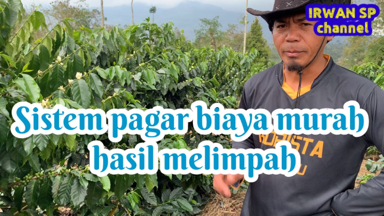 Sistem pagar biaya murah hasil melimpah