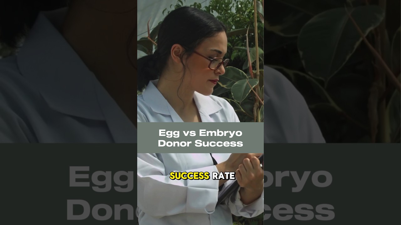 How do you choose between an egg or embryo donor?