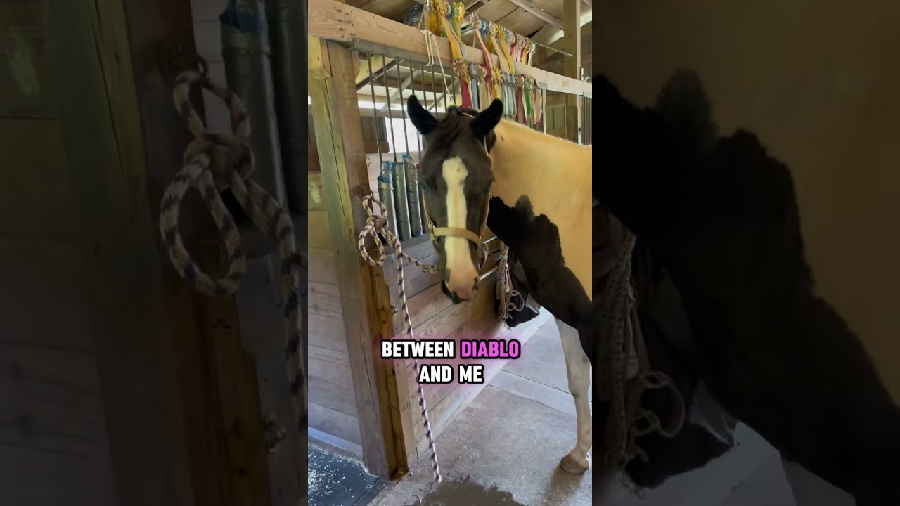 Do you own your horse, or does your horse own you? Do horses claim humans? This is an amazing story