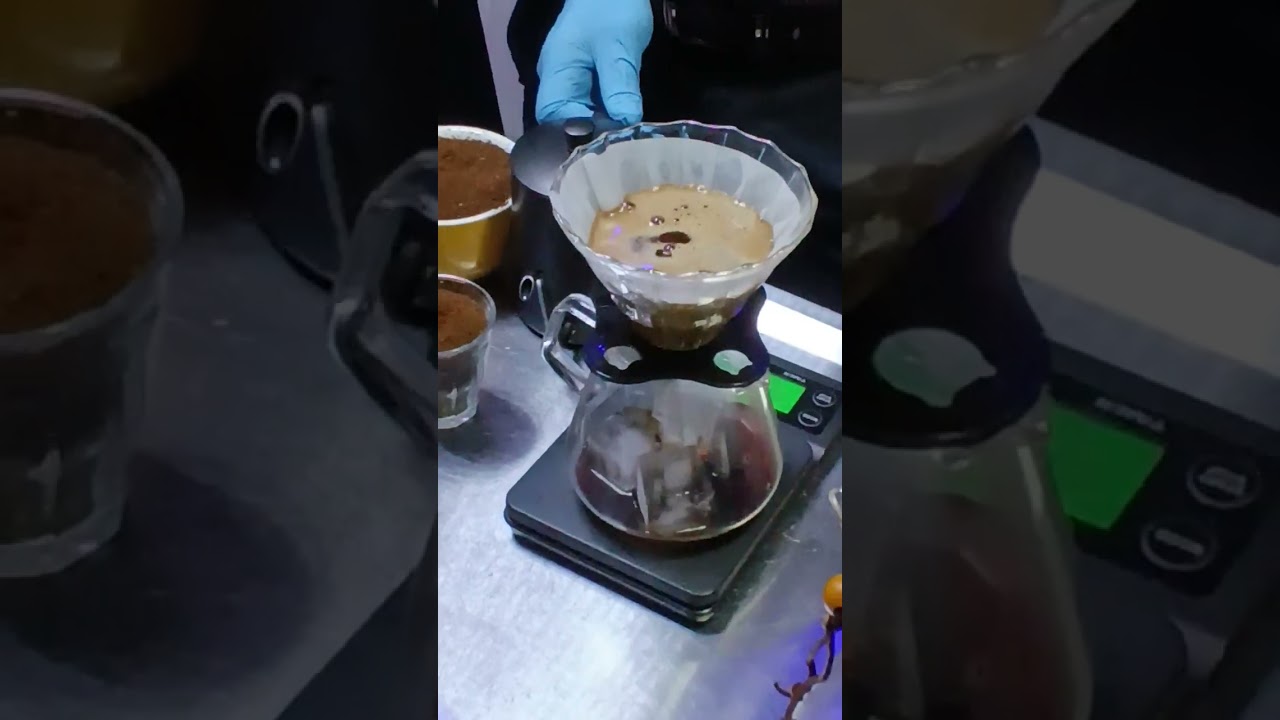 Barista - September 19, 2025