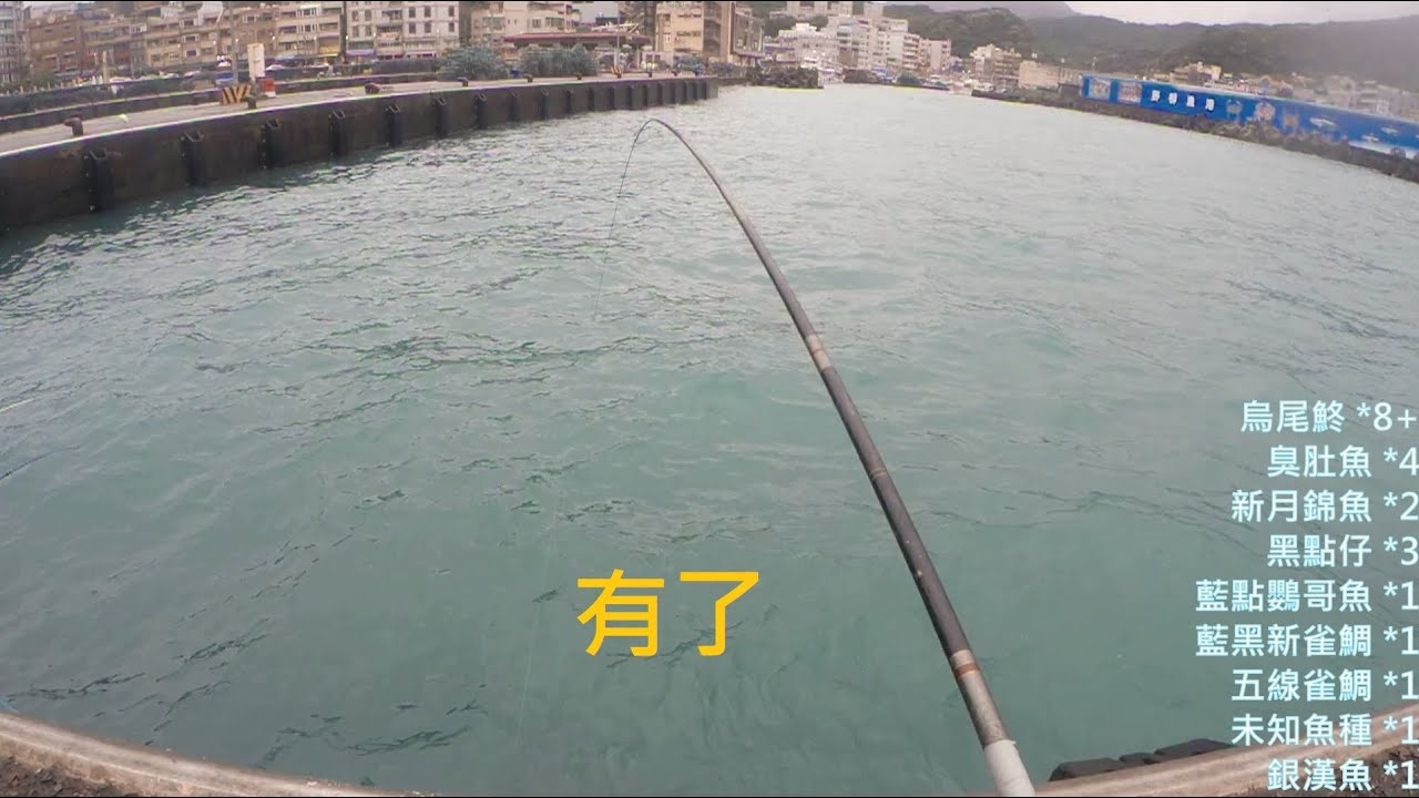 魚種挺豐富的野柳漁港 釣況分享 20201217 [嘟嘟釣魚狂#107]