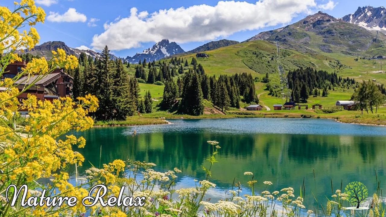 Great relaxing music🍁Nature melodies help reduce stress, heal the soul, stop overthinking & Healing
