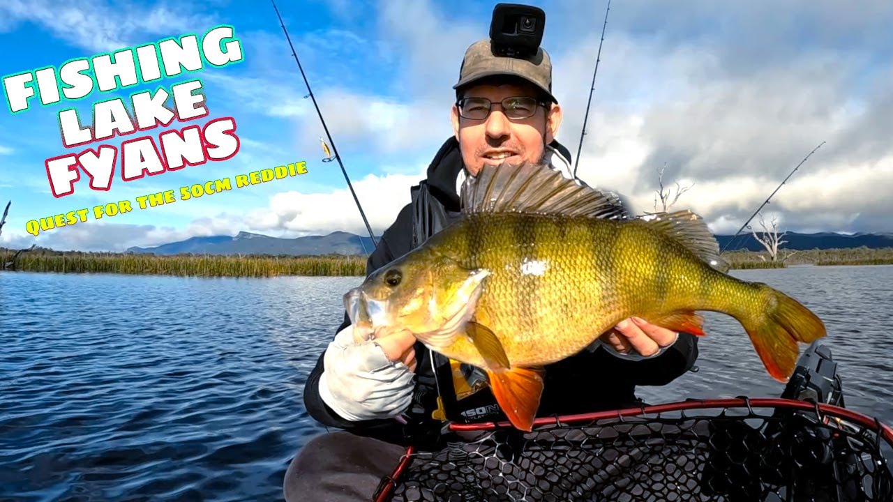 Fishing Lake Fyans for GIANT Redfin ( Redfin fishing Grampians Halls Gap ) !!