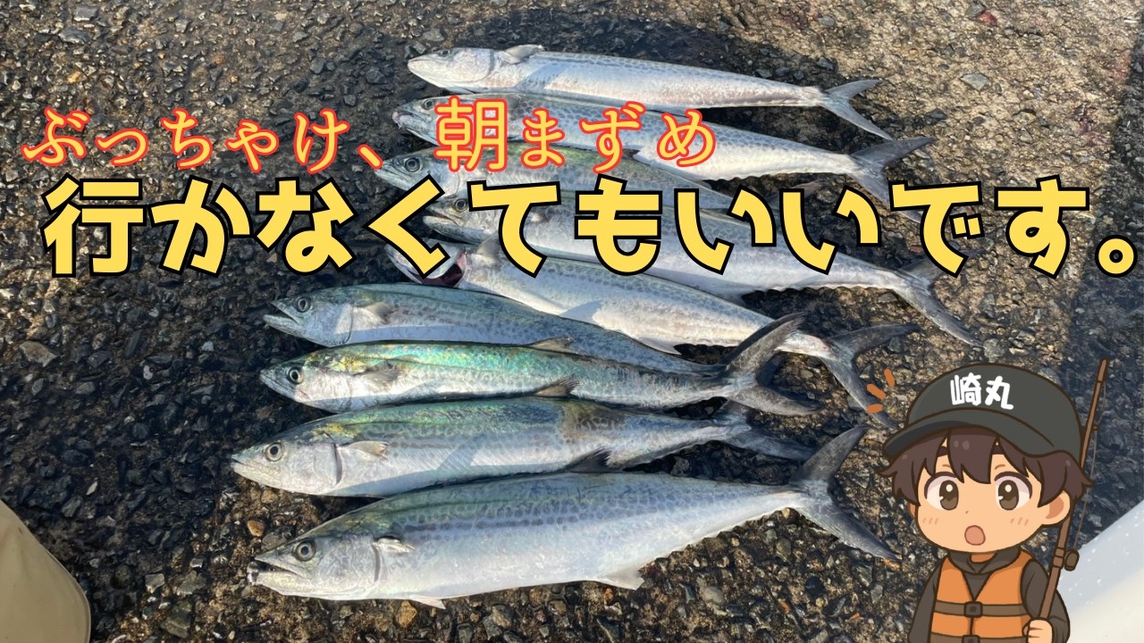【ショアジギ】人の多い朝マズメよりこの時間にサゴシが爆釣！