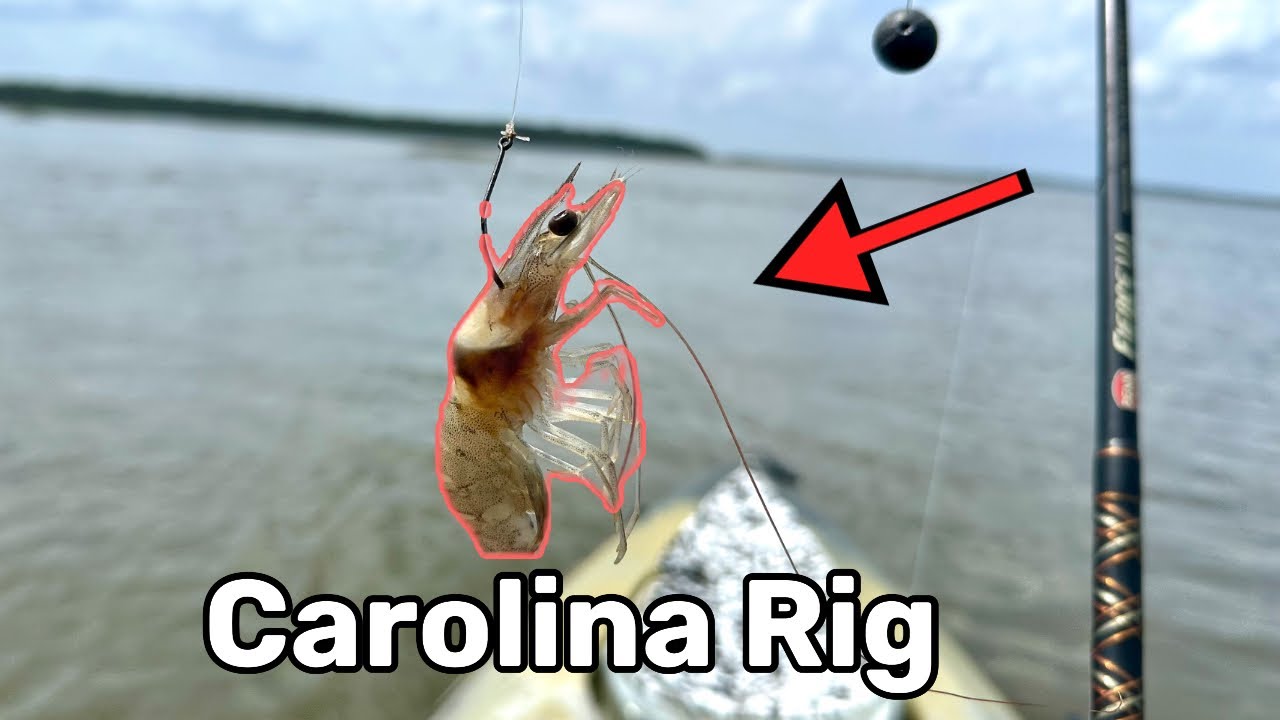 This Is The Easiest Way To Catch Fish #fishing