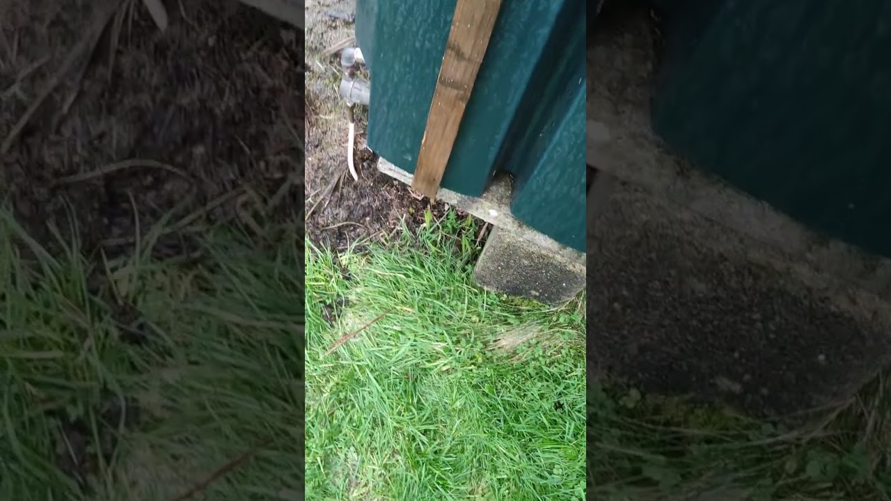 How to measure how much oil is left in your oil tank using a stick