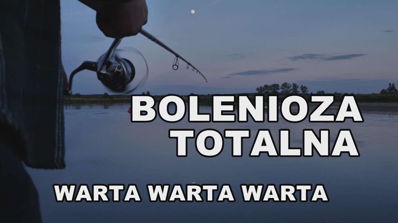 Spinning rzeczny w maju - rzeka Warta pełna ryb!!  (Golina)