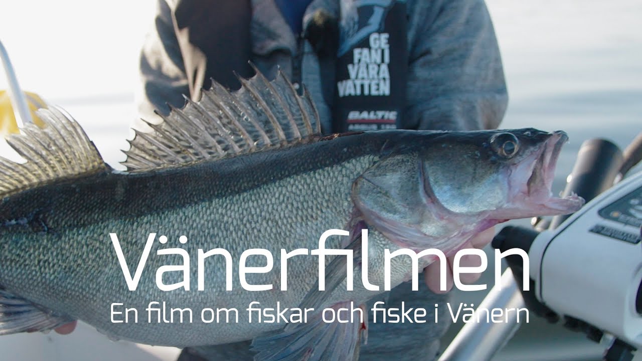 Vänerfilmen - Del 1: Vänern och fisket