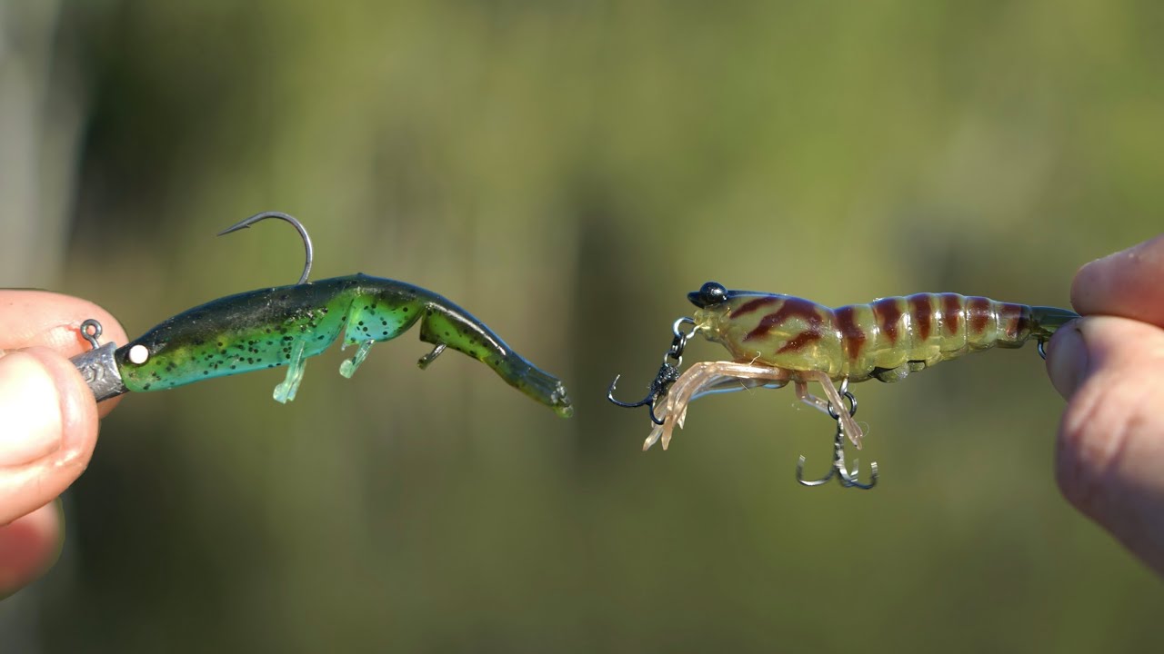 They Only Wanted Prawns!