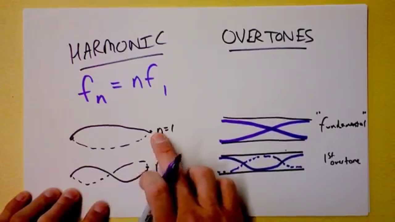 Гармоники стоячей волны или обертоны... в чём разница? | Doc Physics