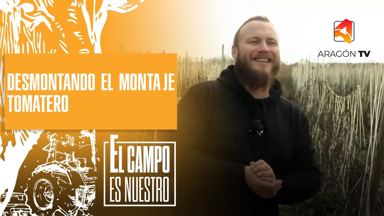 Desmontando el montaje tomatero