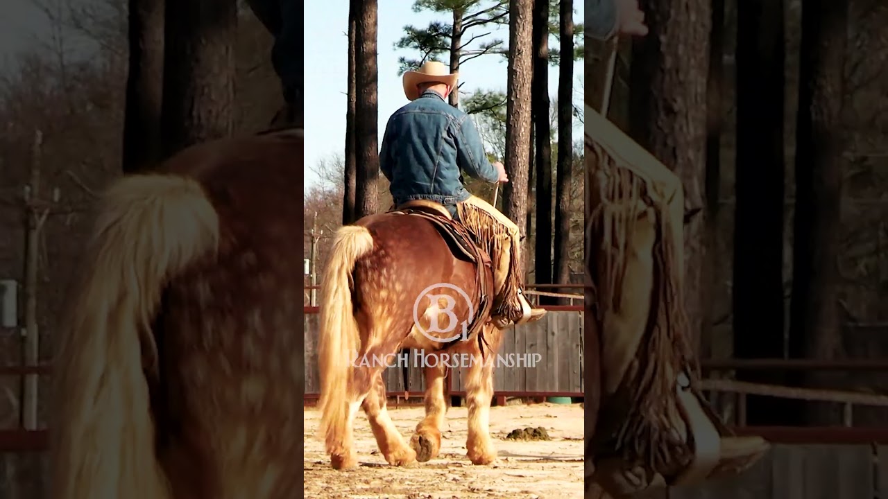 Try to keep your horse's form in mind when training for function.  
