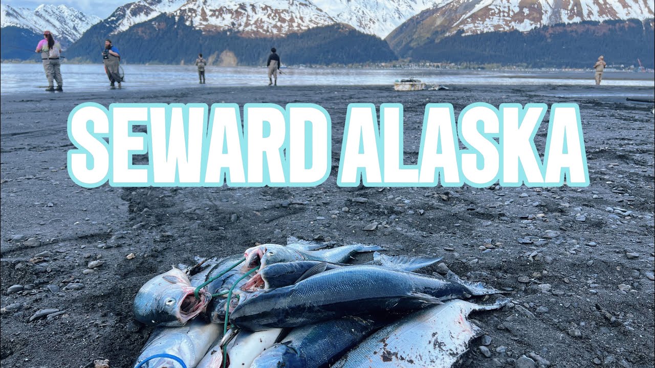 Snagging For Sockeye Salmon In Seward Alaska 2024