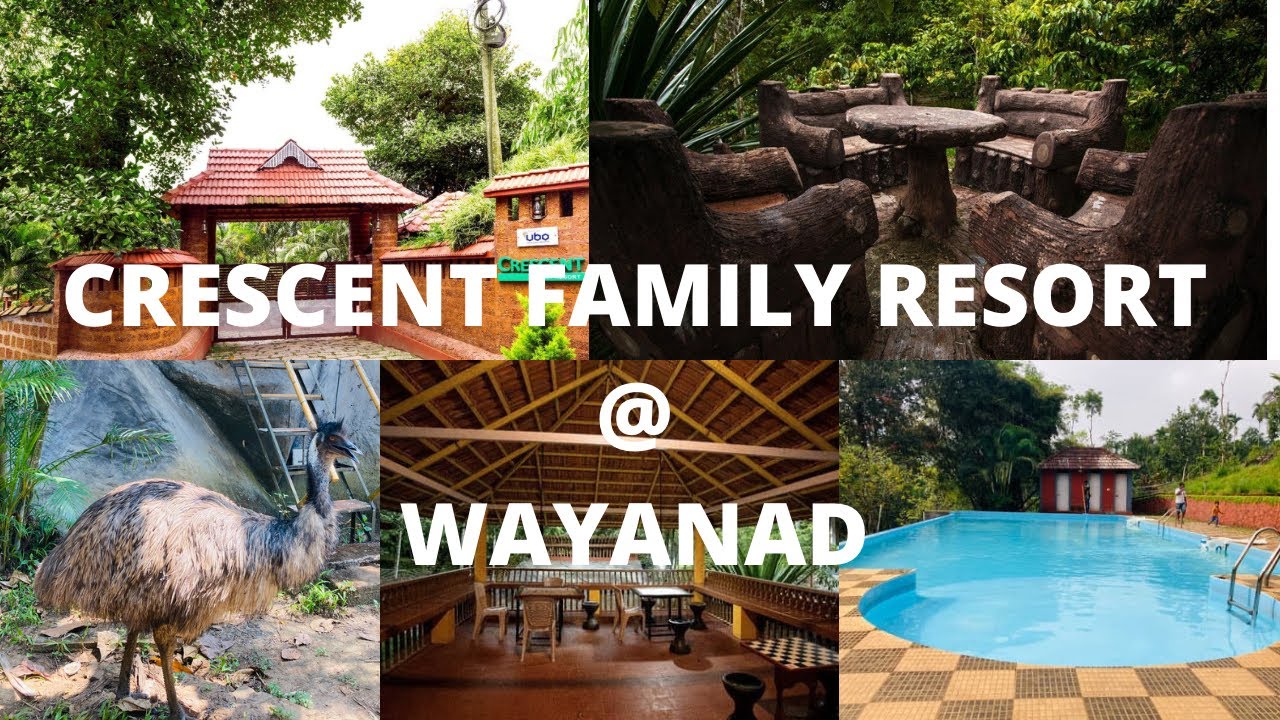 CRESCENT FAMILY RESORT WAYANAD☘️Budget friendly/Sulthan Bathery/ Best family Resort  in Wayanad