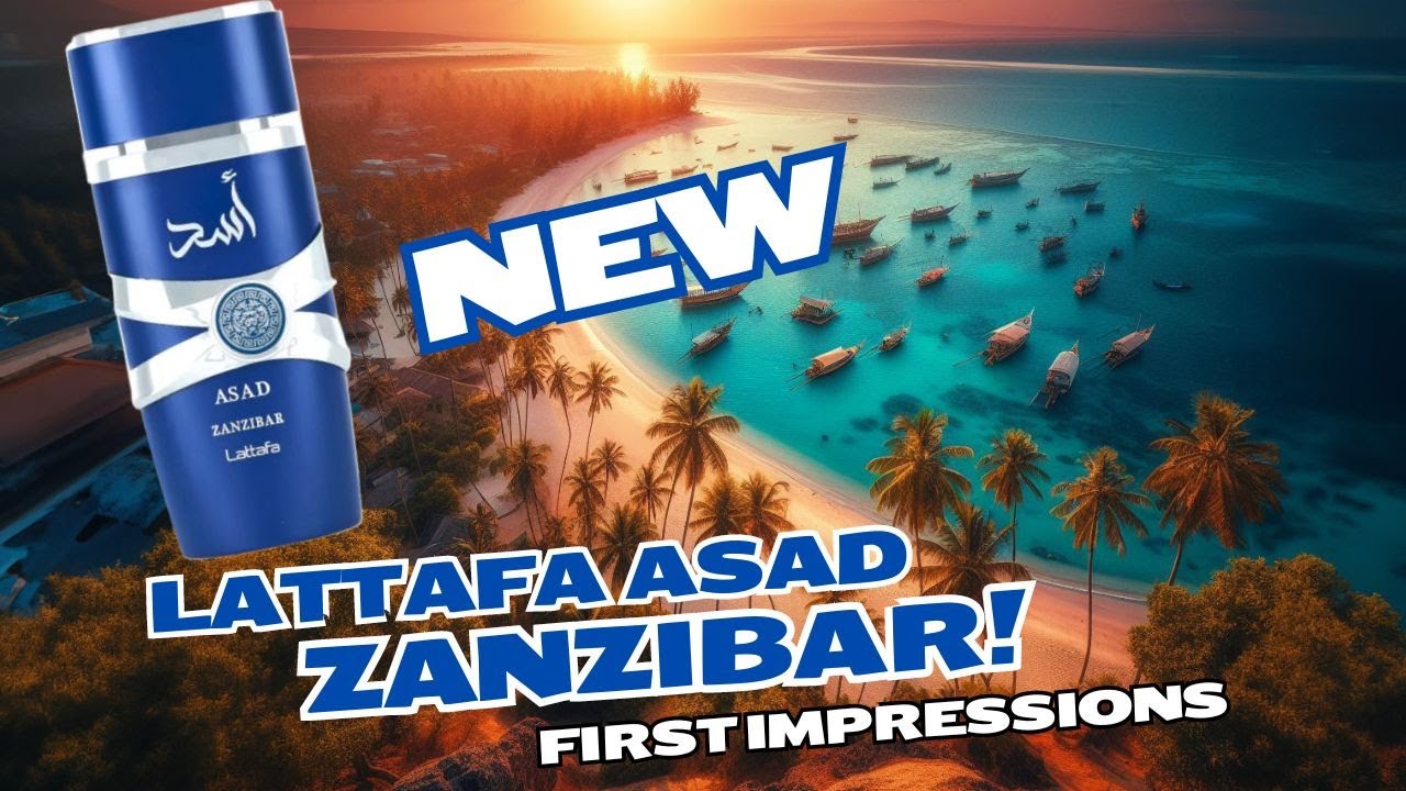 Lattafa Asad Zanzibar First Impressions