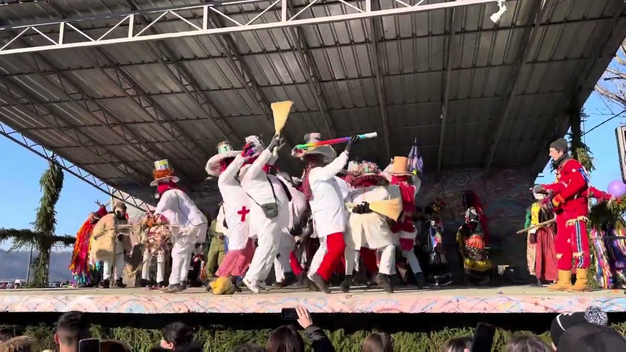 Capra de la Enachesti 2024 2025