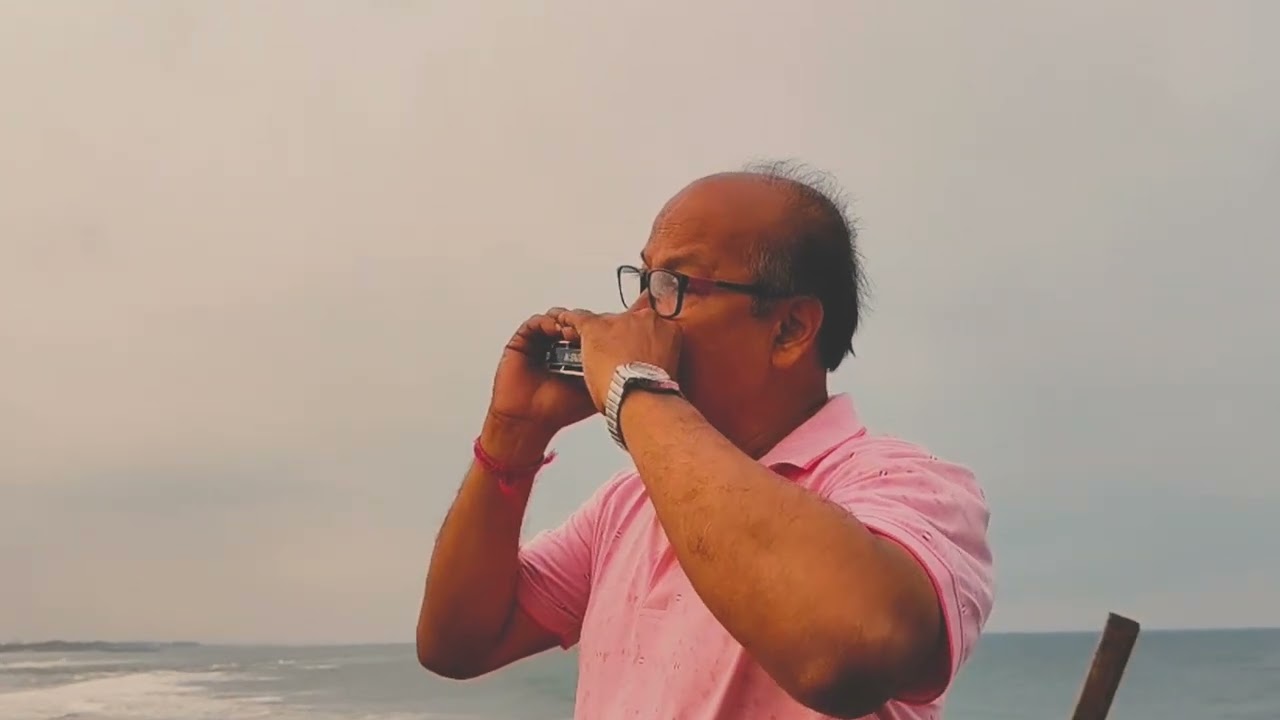 "Jagorone Jai bivabori......"|Rabindra Sangeet| SARRTHI HARMONICA| Covered by Partha Sarathi Das 