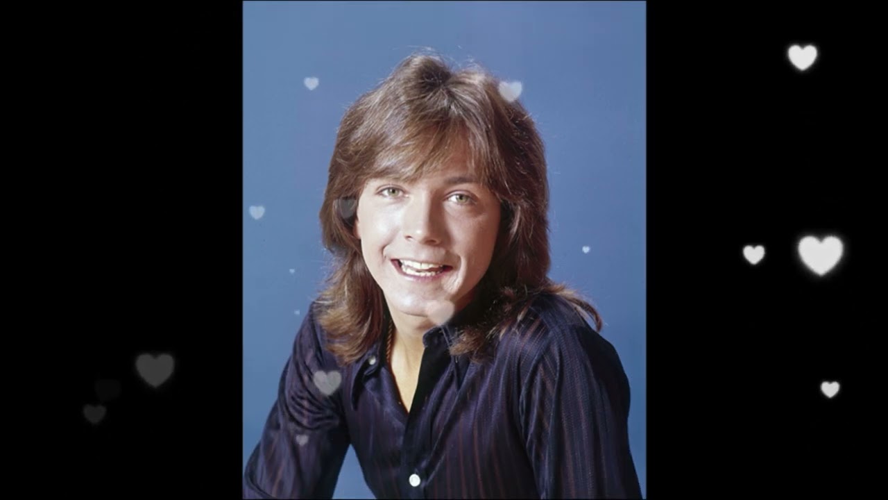 DAVID CASSIDY TRIBUTE-WOMAN IN LOVE