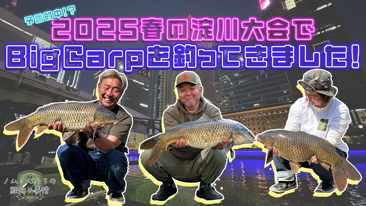 【鯉釣り】大阪 大川の鯉釣り大会 に参加！ BigCarpを釣ってきました #carpfishing #カープフィッシング #鯉釣り #鯉釣り大会 #osaka #osakacarp