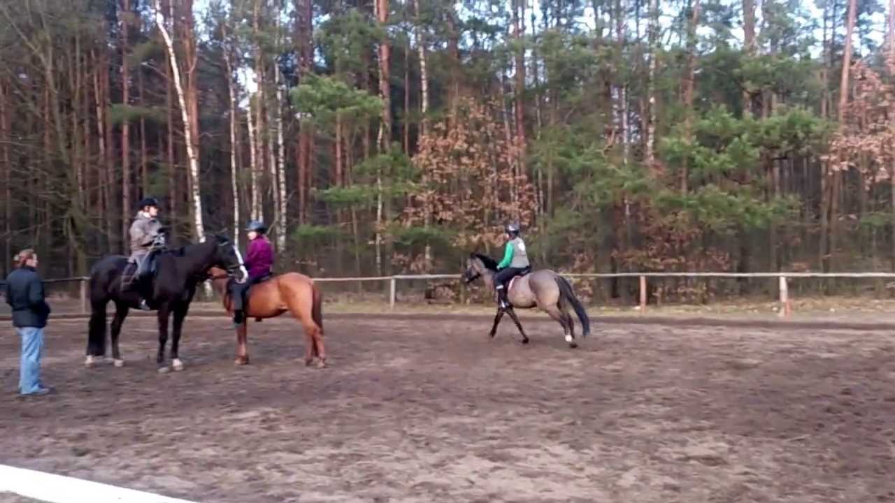 Trening na Kaji w ulmagu.