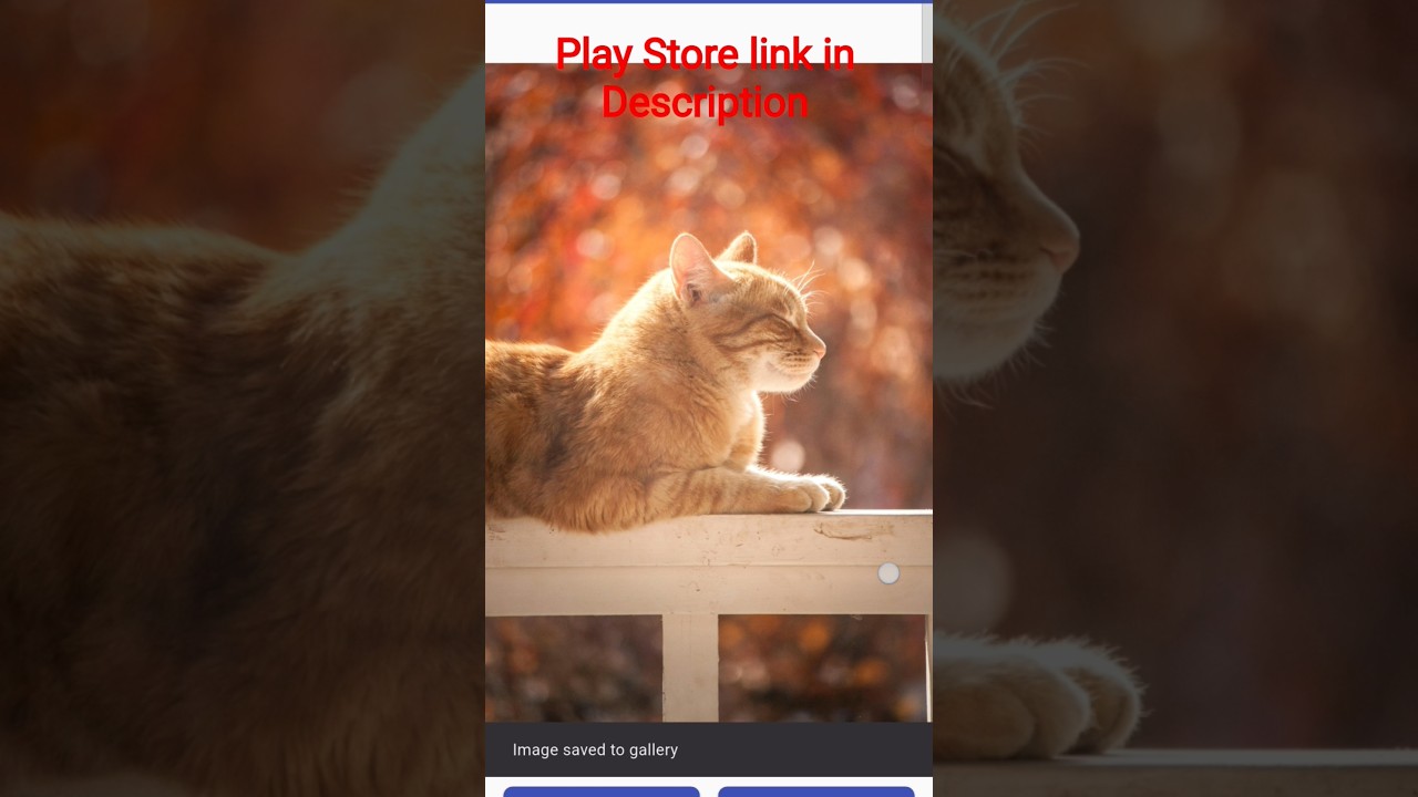 One-Tap Image Conversion: JPG to PNG #ImageConverter #JPGtoPNG #PNGtoWEBP #ImageTools #Shorts