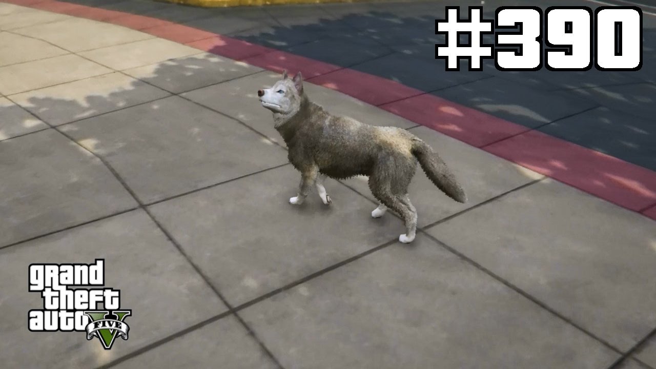GTA 5 #390 Ein Hundeleben & Polizei ist sehr aggro DEUTSCH Let´s Play GTA 5 PS4