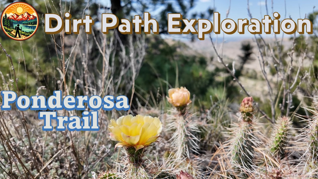 Ponderosa Trail | Makoshika State Park | Dirt Path Exploration #hikingtrail