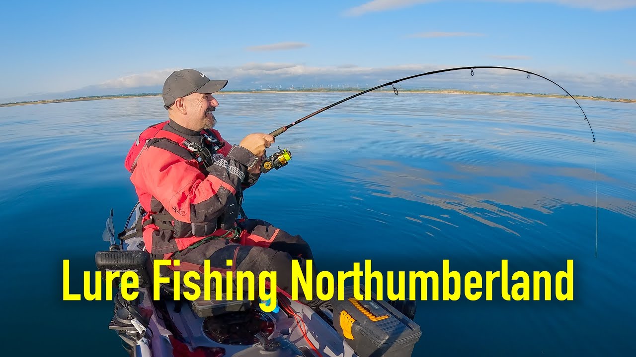 Cracking Summer Lure Session - Multi Species in Northumberland - Kayak Sea Fishing UK