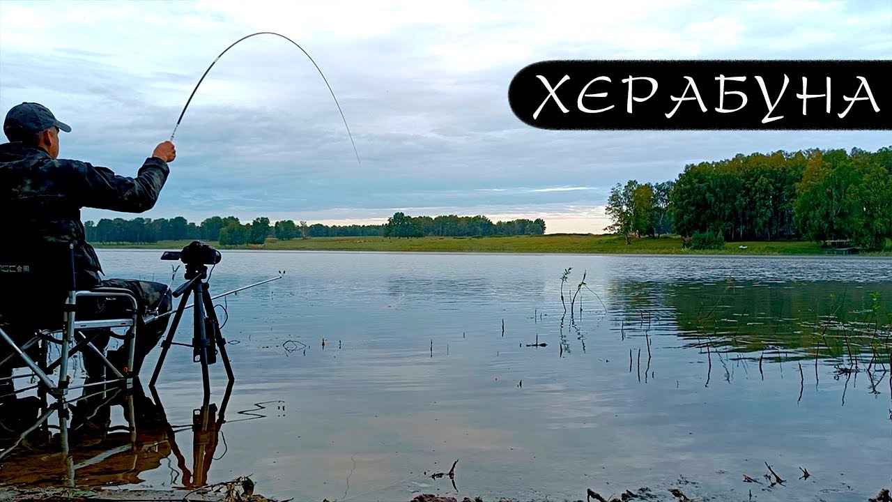 ОСЕНЬ.ЧЕСНОК И анис рулят! Делаю поводок для «КОРЕИ»