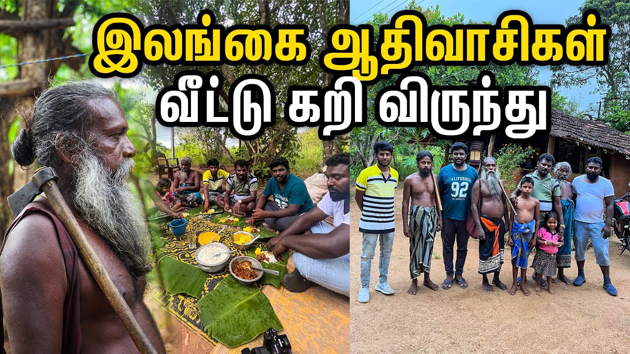 Sri Lanka ஆதிவாசிகள்  கிராமத்து சுற்றுலா I The Vedda Tribe in Sri Lanka I Village Data Base