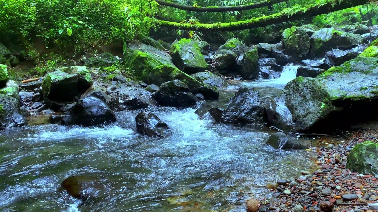 Relaxing River Sounds for Peaceful Mind